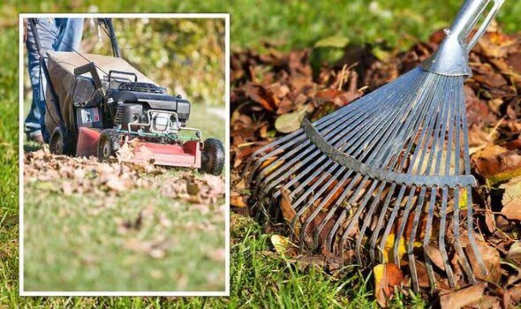  A person mowing a lawn with a green push mower and another person raking leaves in the background.